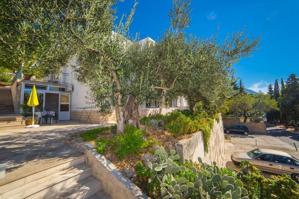Apartmani Stipan بريلا المظهر الخارجي الصورة
